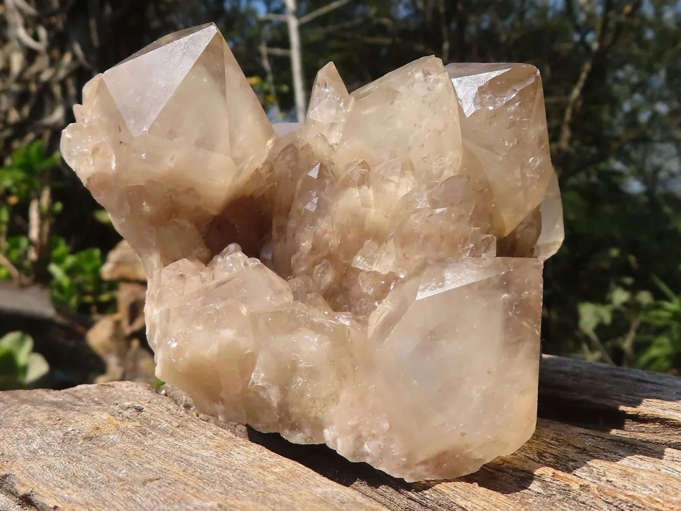 Natural Smokey White Phantom Quartz Clusters x 6 From Luena, Congo